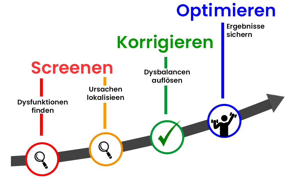 Personal Training Basel - Medical und Therapeutisches Bewegungstraining